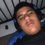 Bossmans cat's Avatar'