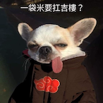 Noah_963's Avatar'