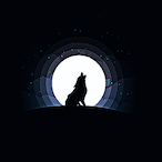 D_anial's Avatar'