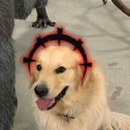 AloesOvO's Avatar'