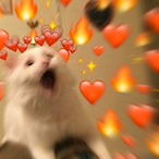 voodoocat27's Avatar'
