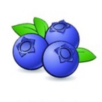 BlueberrySZN's Avatar'