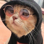 Natno2's Avatar'