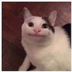 Clamgeniuspen's Avatar'