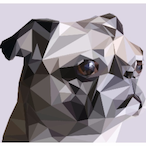 SolvedAnomaly's Avatar