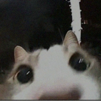 moon_universe's Avatar'