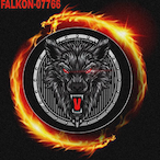 Falkon07766's Avatar'