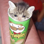 you feelin's Avatar'