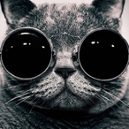 cirdeckiller's Avatar'