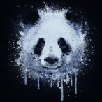 Pandjoy's Avatar'