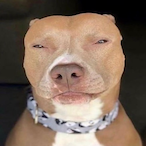 Dennakie's Avatar'