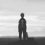 Gotrona1do's Avatar'