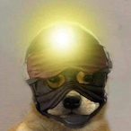 ElShulian's Avatar'