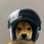 nicobarq's Avatar'