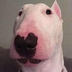 Love.Exotic's Avatar'