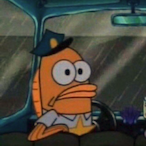 Afghanistan__'s Avatar'