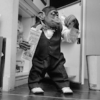 Smile.Less's Avatar'