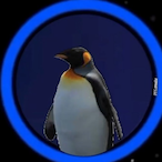 PenguinManYes's Avatar'
