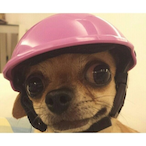 Harry_64_'s Avatar'