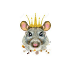 RAT._.PRINCESS's Avatar'