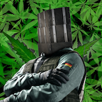 NicoBixie's Avatar'