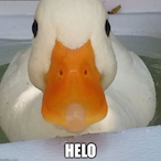 allulululululul's Avatar'