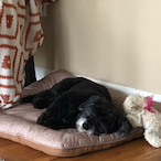 DARTHSUSEJ's Avatar'