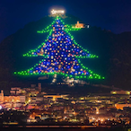 FinkaMyNyash's Avatar'