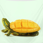 OG_Mango76's Avatar'