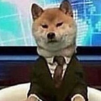 LexiTheWoofPAL's Avatar'