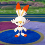 xsaraixs's Avatar'