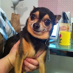 Marley.Kat's Avatar'