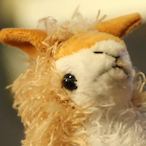 Wildwhiskers258's Avatar'