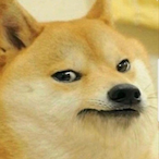 koneV1's Avatar'