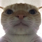 Konghoon's Avatar'