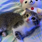 meow1015's Avatar'