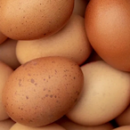 EggsForSale's Avatar'