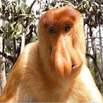 TheKhaiberHero's Avatar'