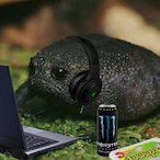 karmagavr's Avatar'