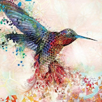 vT_BR's Avatar'