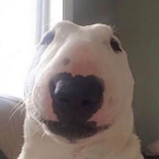 RealElian03's Avatar'