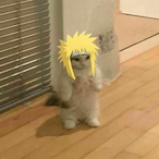 SkiffaIicious's Avatar'