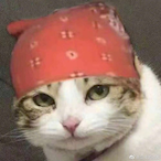 Adorbalex's Avatar'