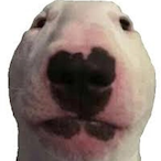 R_elyt's Avatar'