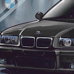 blantywstaniku_'s Avatar'