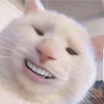 Bryw0o's Avatar'