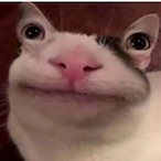 Emmaismydog's Avatar'