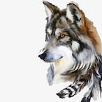 THEBigBatWolf's Avatar'