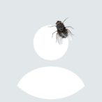 GER-Kr0n0x's Avatar'