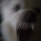 Purxxm's Avatar'